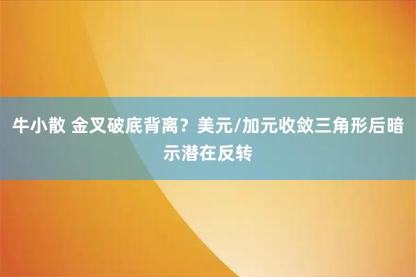 牛小散 金叉破底背离？美元/加元收敛三角形后暗示潜在反转
