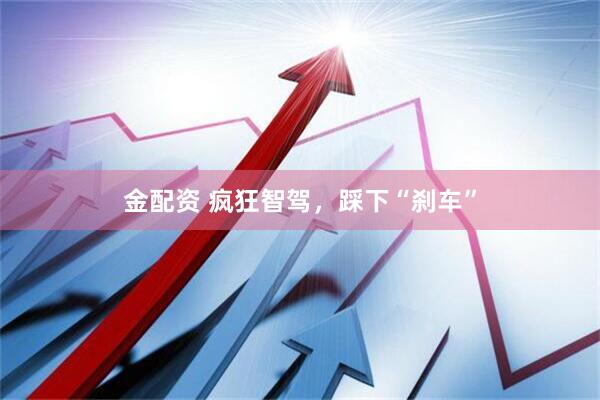 金配资 疯狂智驾，踩下“刹车”