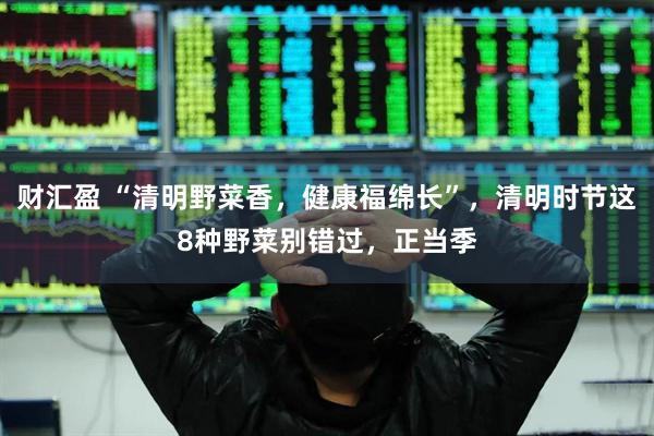 财汇盈 “清明野菜香，健康福绵长”，清明时节这8种野菜别错过，正当季
