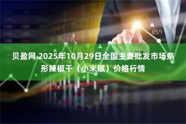贝盈网 2025年10月29日全国主要批发市场条形辣椒干（小米椒）价格行情