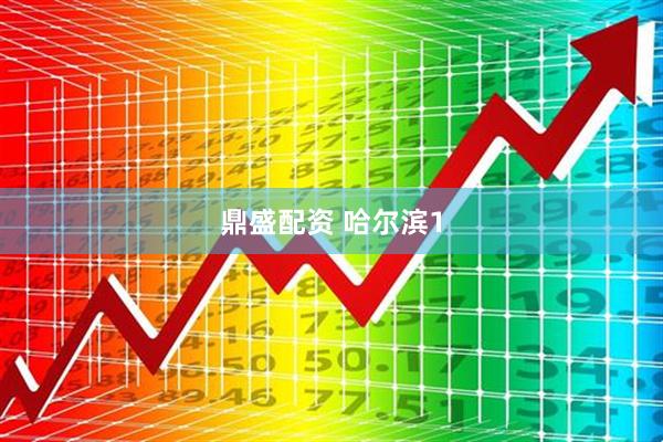 鼎盛配资 哈尔滨1