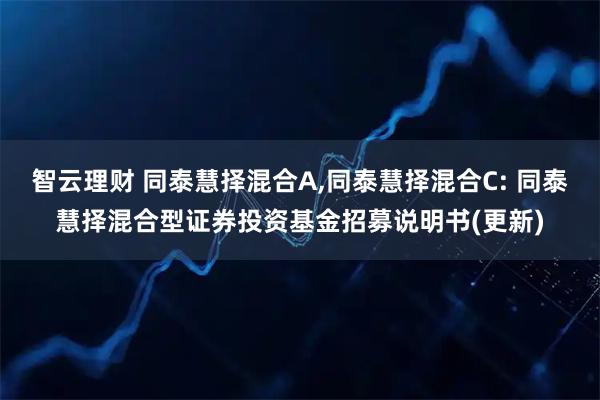 智云理财 同泰慧择混合A,同泰慧择混合C: 同泰慧择混合型证券投资基金招募说明书(更新)