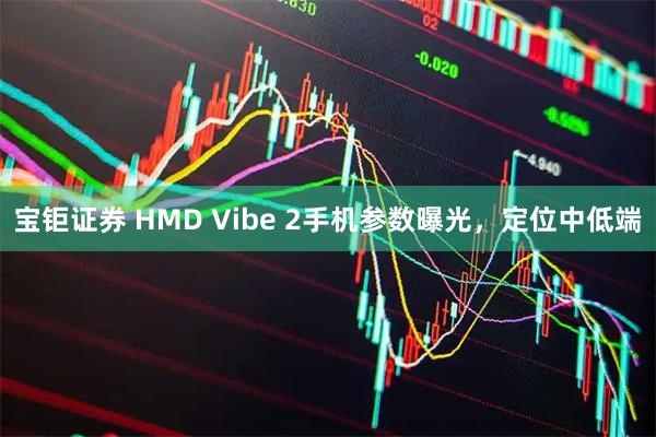宝钜证券 HMD Vibe 2手机参数曝光，定位中低端