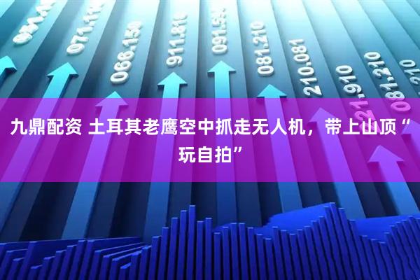 九鼎配资 土耳其老鹰空中抓走无人机,带上山顶“玩自拍”